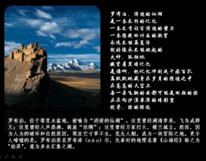 熊出没百层大冒险
