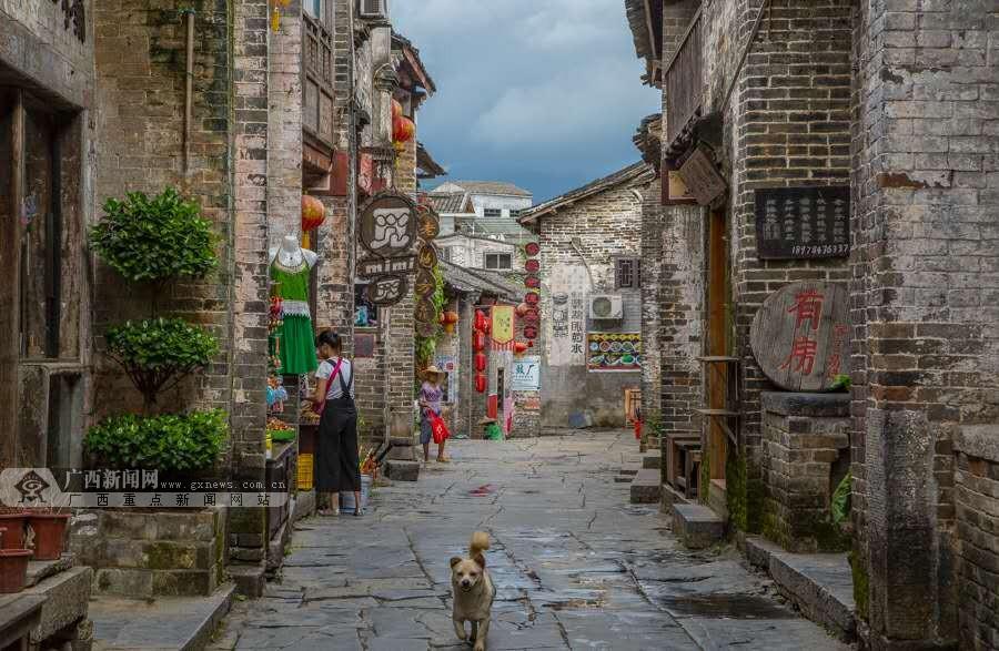 养仓鼠的主人们一定要注意啦，这么做会减少仓鼠寿命的